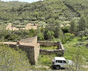 Land for sale in Vilalba dels Arcs