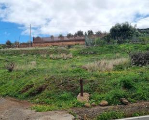Non-constructible Land for sale in Telde