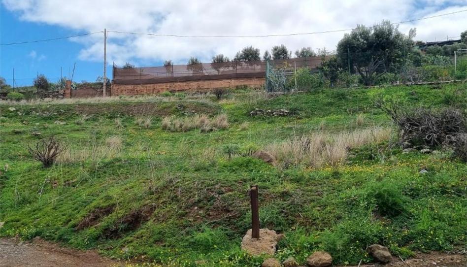 Non-constructible Land for sale in Gc-130, 39, Valle de los Nueve - El Ejido - Medianías, Las Palmas - image 1 Photo 1 of Non-constructible Land for sale in Gc-130, 39, Valle de los Nueve - El Ejido - Medianías, Las Palmas
