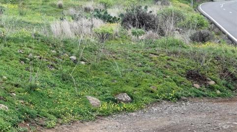 Non-constructible Land for sale in Gc-130, 39, Valle de los Nueve - El Ejido - Medianías, Las Palmas - image 3 Photo 3 of Non-constructible Land for sale in Gc-130, 39, Valle de los Nueve - El Ejido - Medianías, Las Palmas