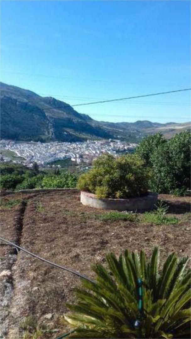 Exterior view of Single-family semi-detached for sale in Valle de Abdalajís  with Heating, Private garden and Terrace