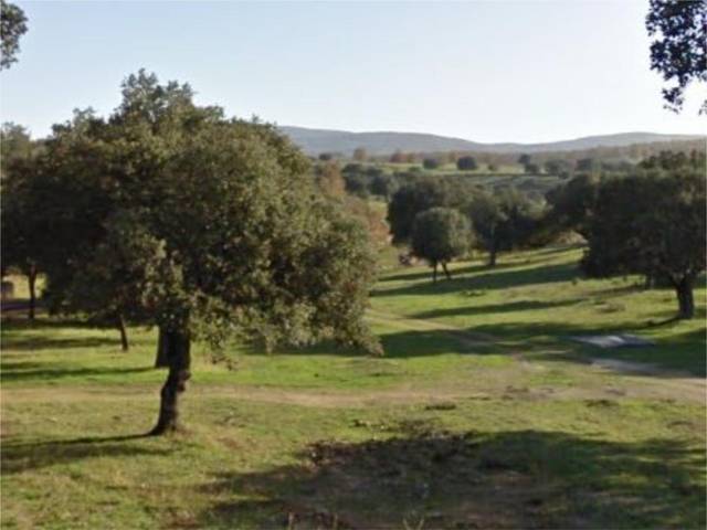 Terreno en Venta en Plaza Mayor en Barrio del Centro