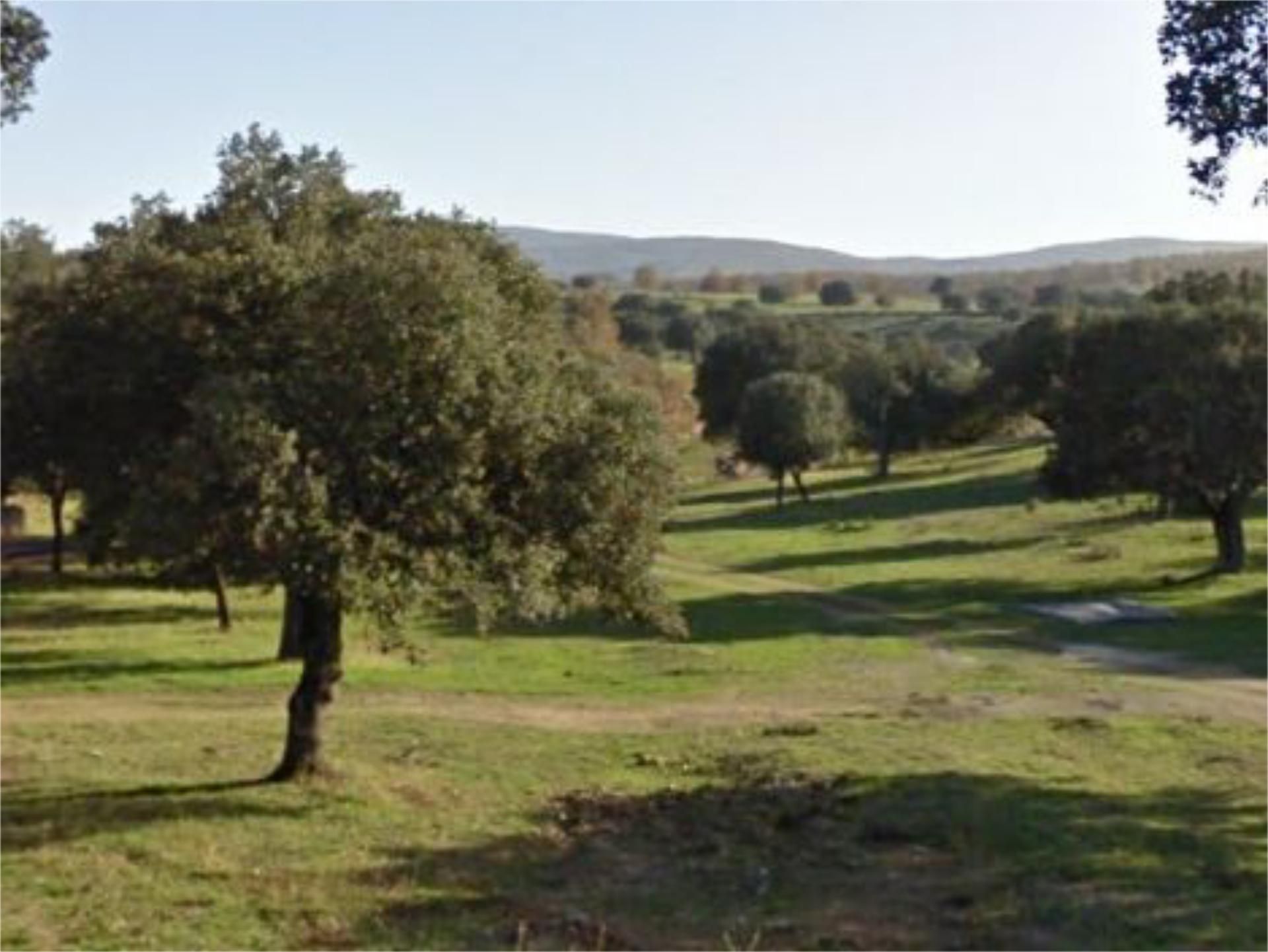 Land for sale in Salamanca Capital