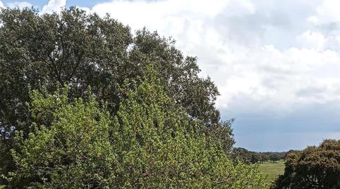 Photo 4 of Land for sale in Plaza Mayor, Barrio del Centro, Salamanca