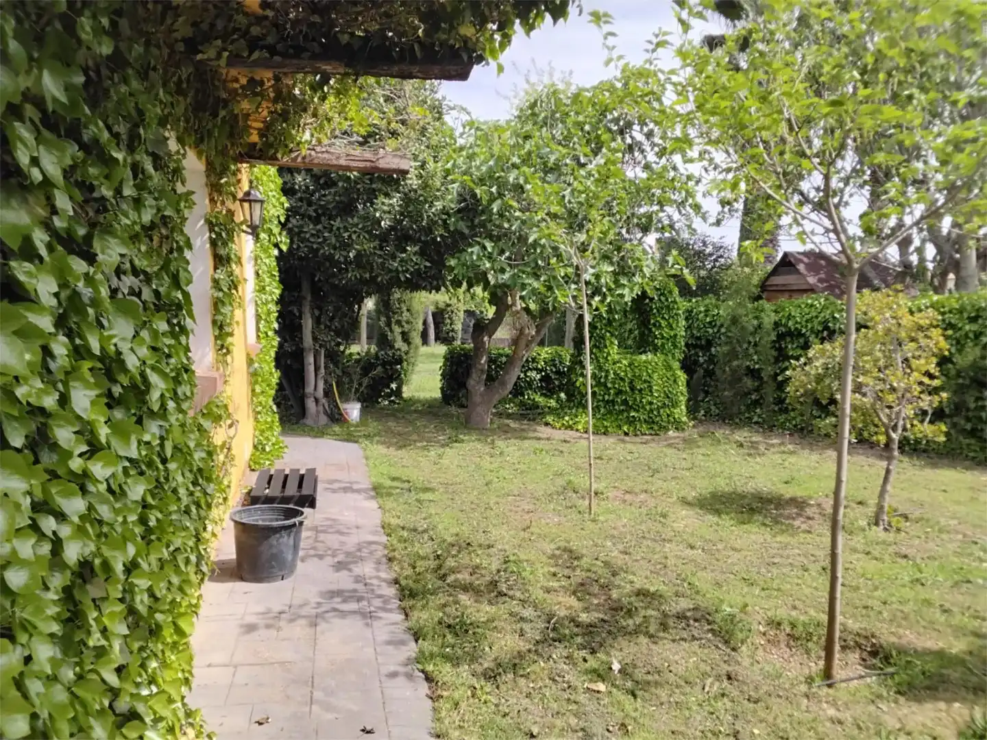 Jardín de Casa o chalet en venta en Miguelturra con Terraza, Piscina y Balcón