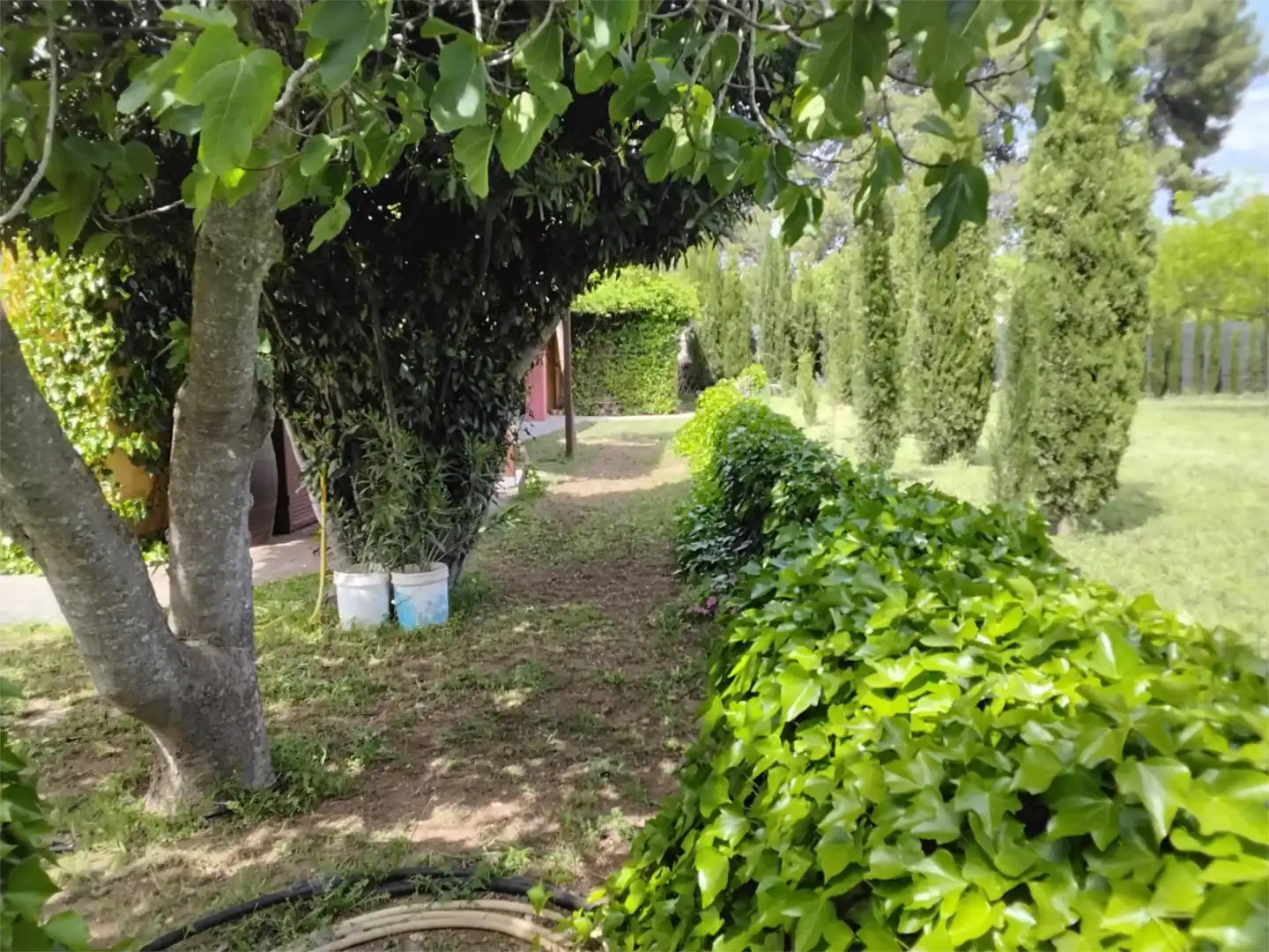 Jardín de Casa o chalet en venta en Miguelturra con Terraza, Piscina y Balcón