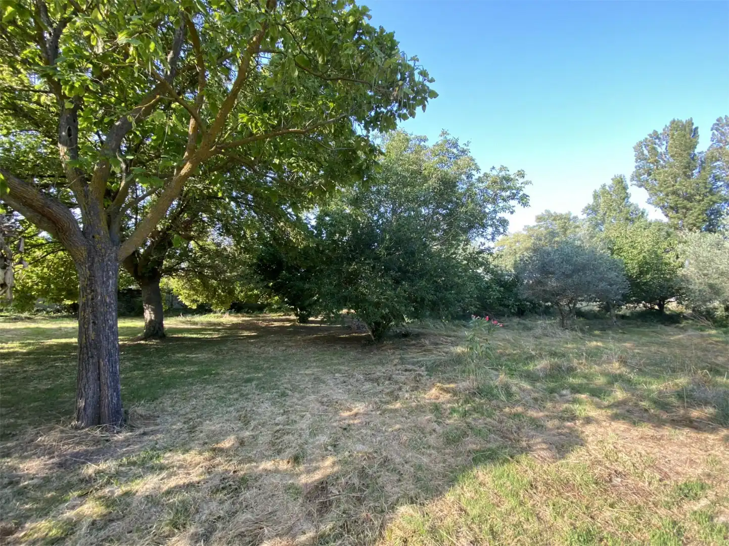 Country house zur Miete in Sangüesa / Zangoza mit Klimaanlage, Heizung und Privatgarten