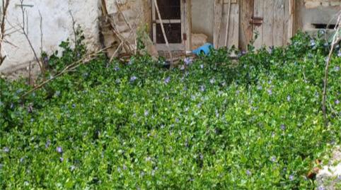 Flat for sale in Calle Real de Santiago, 34, Bercero, Valladolid - image 3 Photo 3 of Flat for sale in Calle Real de Santiago, 34, Bercero, Valladolid