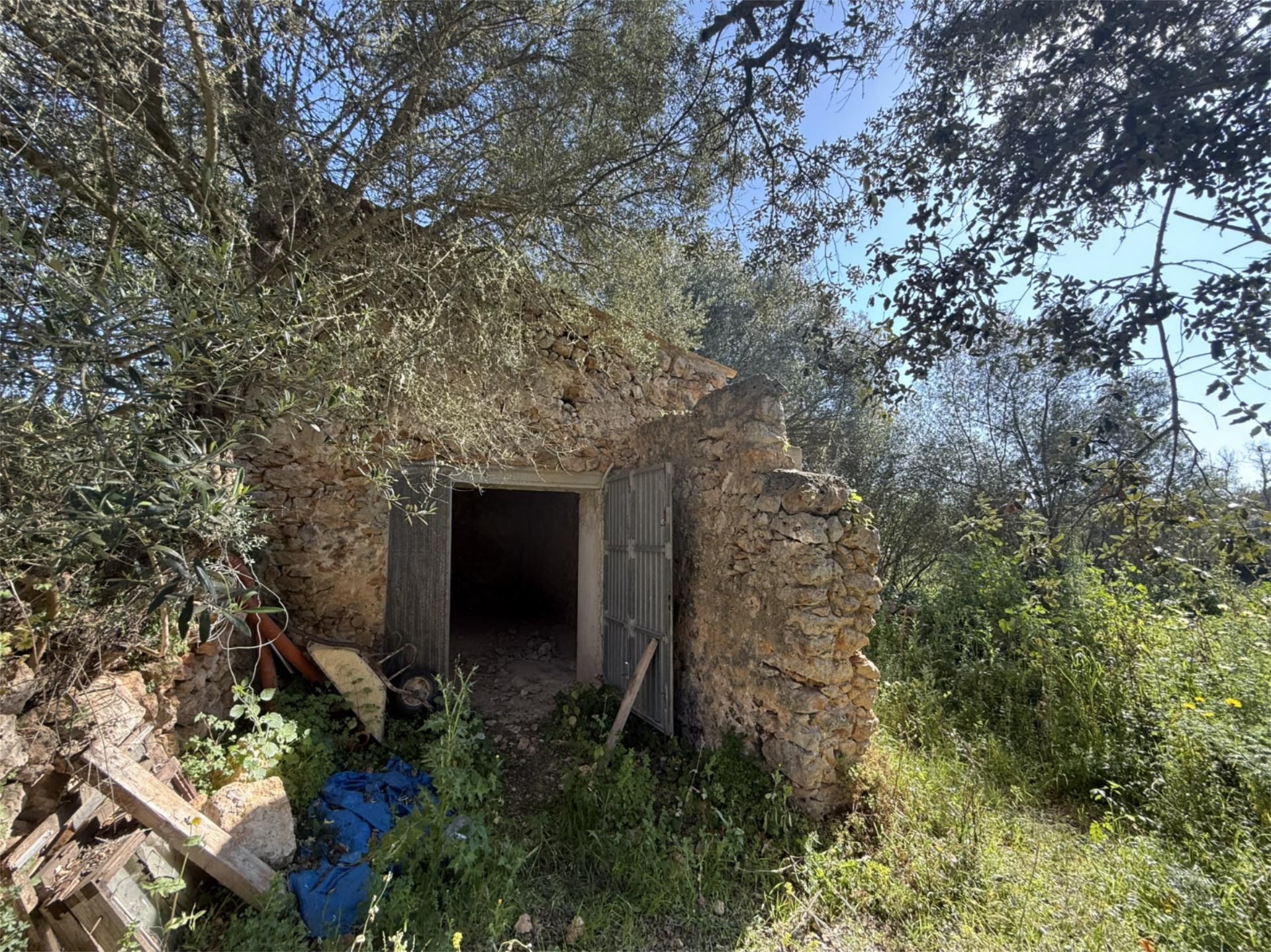 Finca rústica en venta en Sencelles