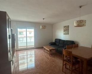 Living room of Flat to rent in San Vicente del Raspeig / Sant Vicent del Raspeig  with Private garden, Terrace and Swimming Pool