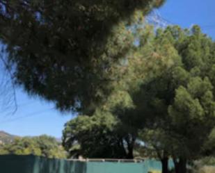 Vista exterior de Finca rústica en venda en Las Rozas de Madrid