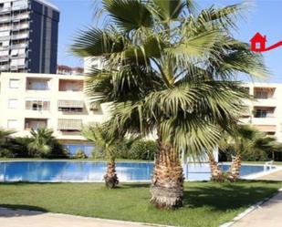 Swimming pool of Apartment to rent in La Pobla de Farnals  with Air Conditioner, Terrace and Swimming Pool