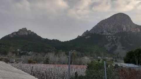 Foto 2 de Finca rústica en venta en Calle Padilla, 10, Cieza, Murcia