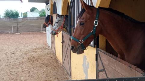 Photo 5 of House or chalet for sale in Calle Alcora S N 83, 10, Estación - Universidad, Castellón