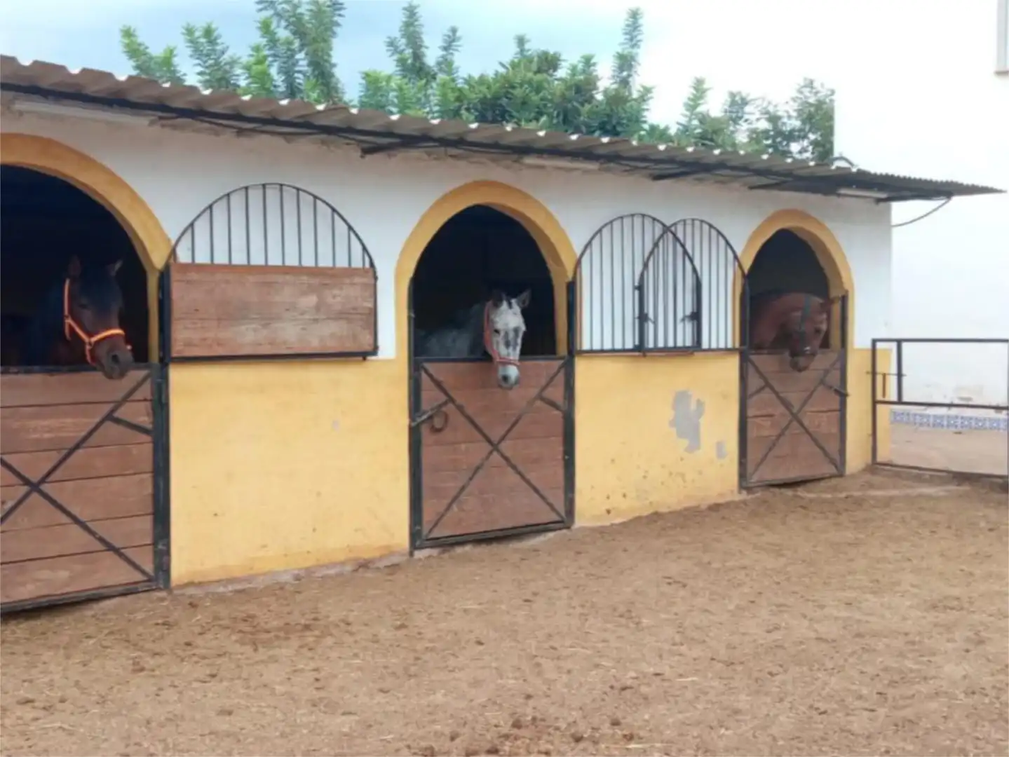 Wohnung zum Verkauf in Calle Alcora S N 83, 10, Estación - Universidad Außenansicht von Wohnung zum Verkauf in Castellón de la Plana / Castelló de la Plana mit Klimaanlage, Privatgarten und Terrasse