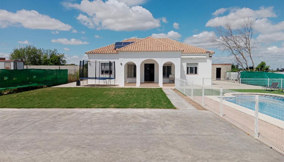 Finca rústica en venta en Calle Herrera el Viejo, 24a, Los Palacios y Villafranca, Sevilla - imagen 1 Foto 1 de Finca rústica en venta en Calle Herrera el Viejo, 24a, Los Palacios y Villafranca, Sevilla
