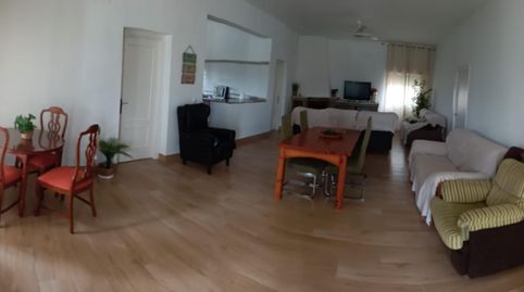 Finca rústica en venta en Calle Herrera el Viejo, 24a, Los Palacios y Villafranca, Sevilla - imagen 4 Foto 4 de Finca rústica en venta en Calle Herrera el Viejo, 24a, Los Palacios y Villafranca, Sevilla