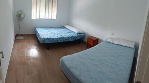 Finca rústica en venta en Calle Herrera el Viejo, 24a, Los Palacios y Villafranca, Sevilla - imagen 3 Foto 3 de Finca rústica en venta en Calle Herrera el Viejo, 24a, Los Palacios y Villafranca, Sevilla