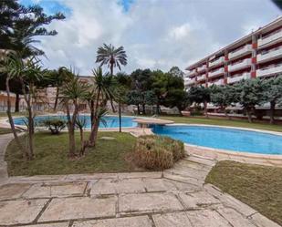 Piscina de Estudi de lloguer en Daimús amb Jardí privat, Terrassa i Traster