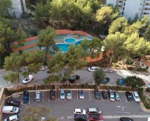 Swimming pool of Flat to rent in Benidorm