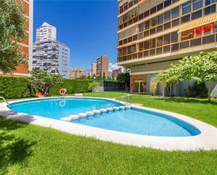 Piscina de Apartament de lloguer en San Vicente del Raspeig / Sant Vicent del Raspeig amb Piscina