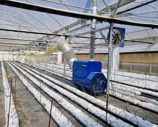 Garden of Land for sale in Vélez-Málaga