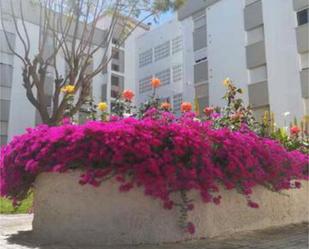 Exterior view of Flat to rent in Rota