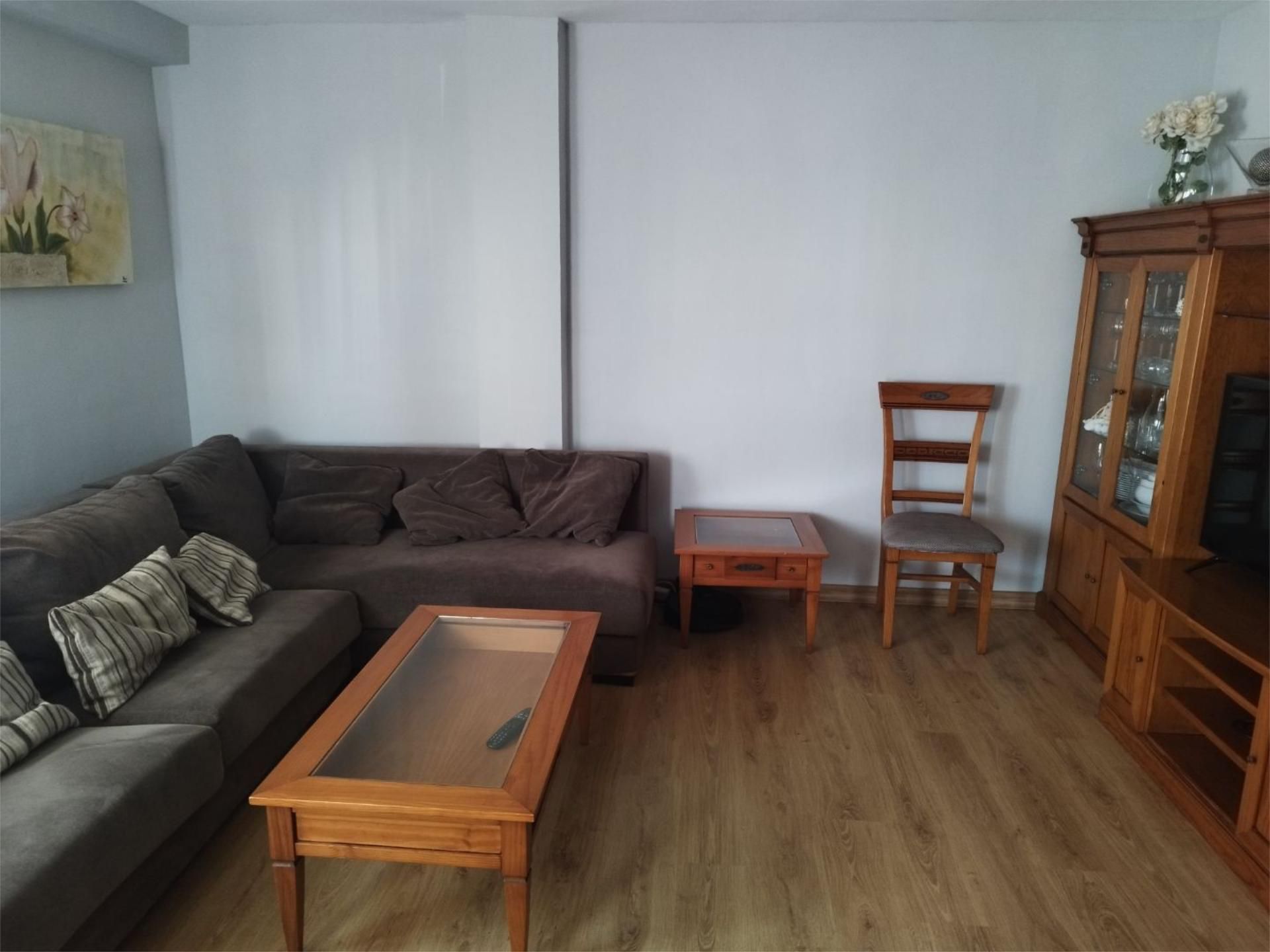 Living room of Flat for sale in Málaga Capital  with Air Conditioner, Parquet flooring and Terrace