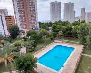 Swimming pool of Apartment to rent in Benidorm  with Private garden, Terrace and Swimming Pool