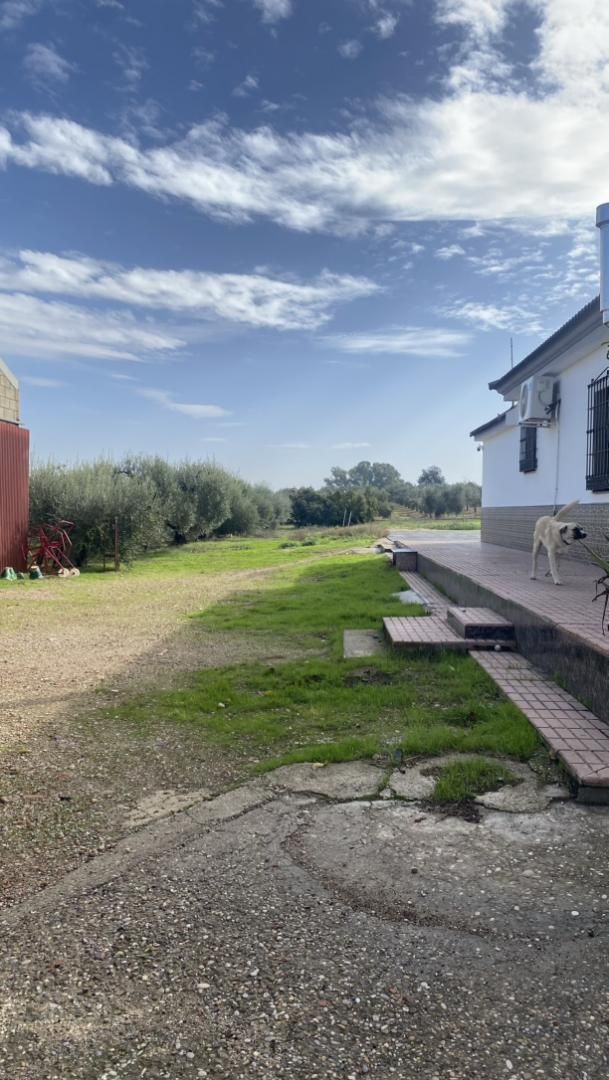 Casa o xalet en venda en La Carlota amb Aire condicionat i Piscina
