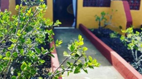 Flat for sale in Calle Malagueña, 2, Caleta de Fuste, Antigua - image 2 Photo 2 of Flat for sale in Calle Malagueña, 2, Caleta de Fuste, Antigua