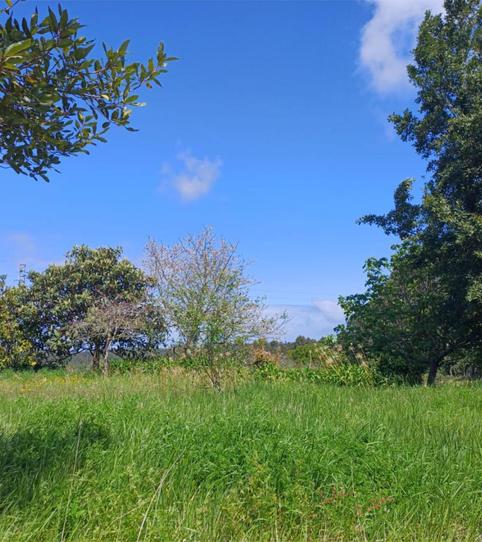 Photo 2 of Constructible Land for sale in Barrio la Sierra, 135, Colunga, Asturias