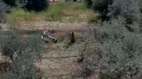 Finca rústica en venda a Calle Pío Baroja, 5, Alhama de Murcia ciudad, Murcia - imatge 2 Foto 2 de Finca rústica en venda a Calle Pío Baroja, 5, Alhama de Murcia ciudad, Murcia