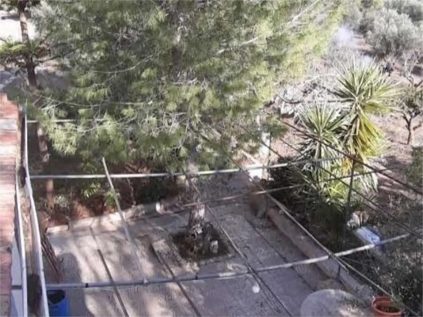 Finca rústica en venda a Calle Pío Baroja, 5, Alhama de Murcia ciudad Jardí de Finca rústica en venda en Alhama de Murcia