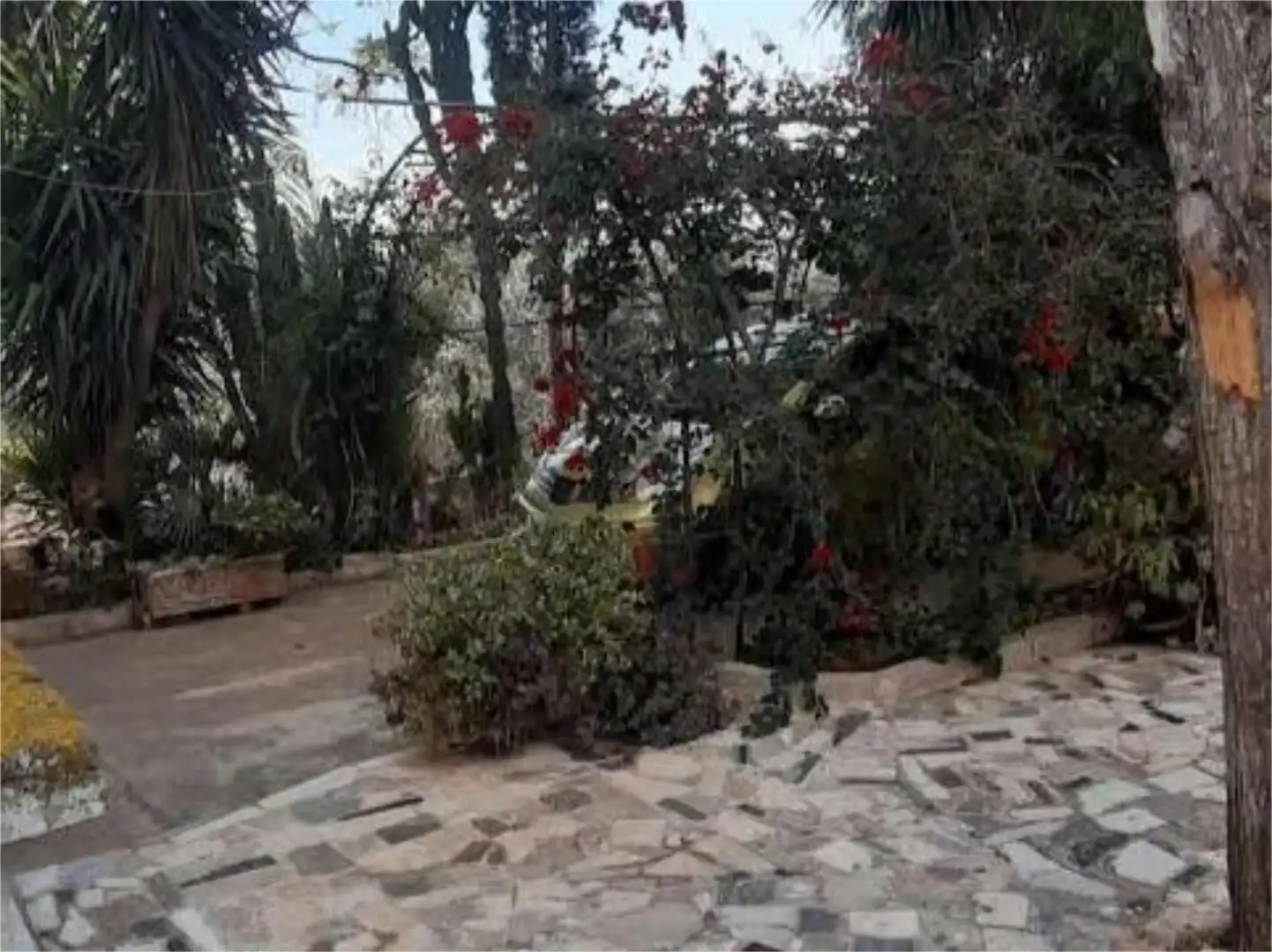 Finca rústica en venda a Calle Pío Baroja, 5, Alhama de Murcia ciudad Jardí de Finca rústica en venda en Alhama de Murcia