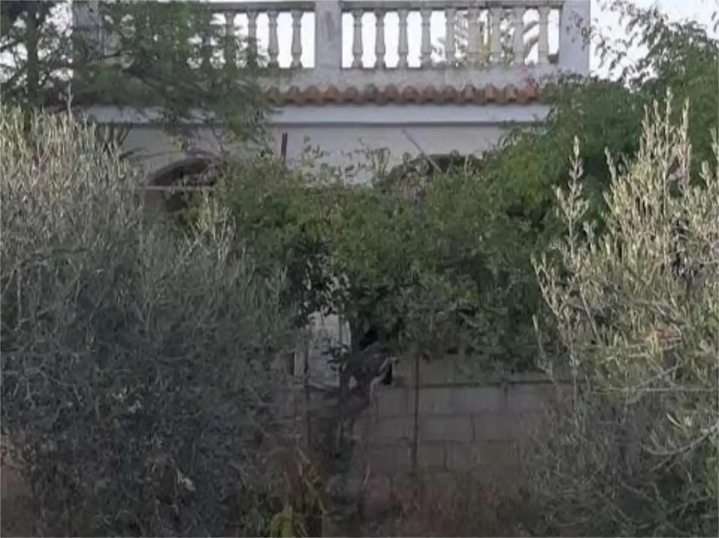 Finca rústica en venda a Calle Pío Baroja, 5, Alhama de Murcia ciudad Jardí de Finca rústica en venda en Alhama de Murcia
