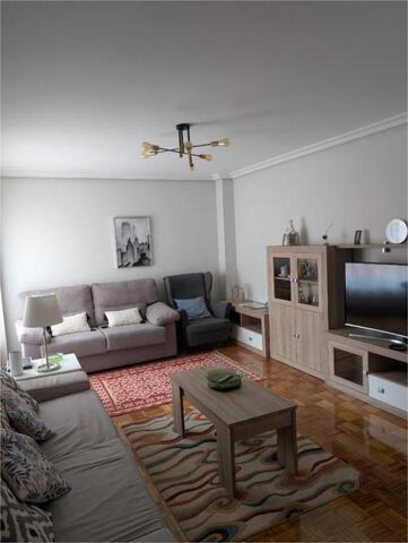Sala d'estar de Apartament de lloguer en Oviedo  amb Calefacció, Terrassa i Moblat