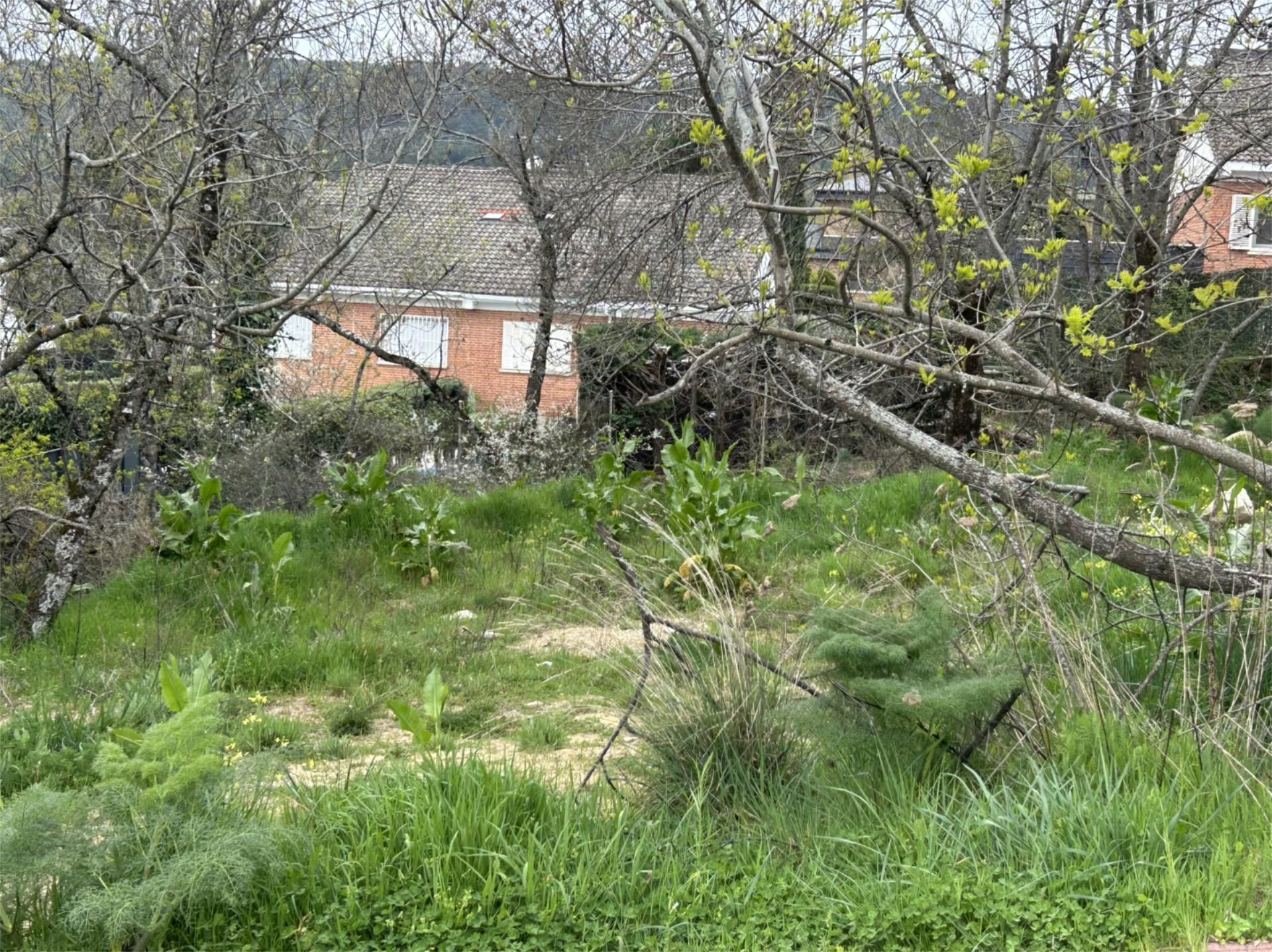 Urbanitzable en venda en Becerril de la Sierra