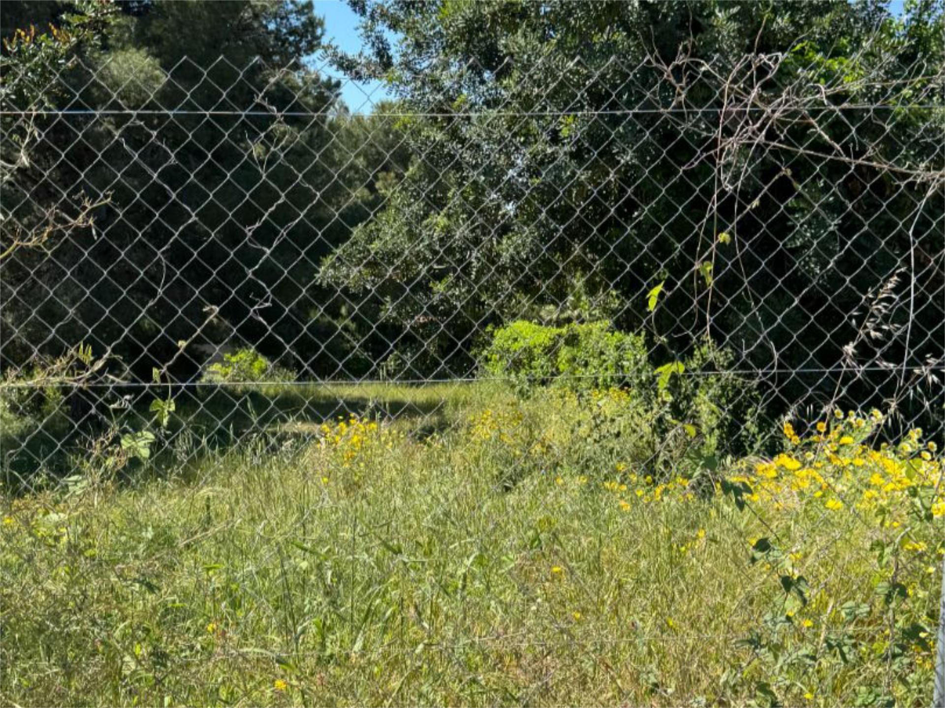 Constructible Land for sale in Sant Jaume dels Domenys