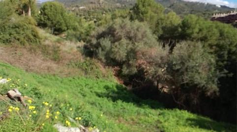 Residencial en venda a Paseo del Golf, 4, Santa María, Marbella - imatge 4 Foto 4 de Residencial en venda a Paseo del Golf, 4, Santa María, Marbella