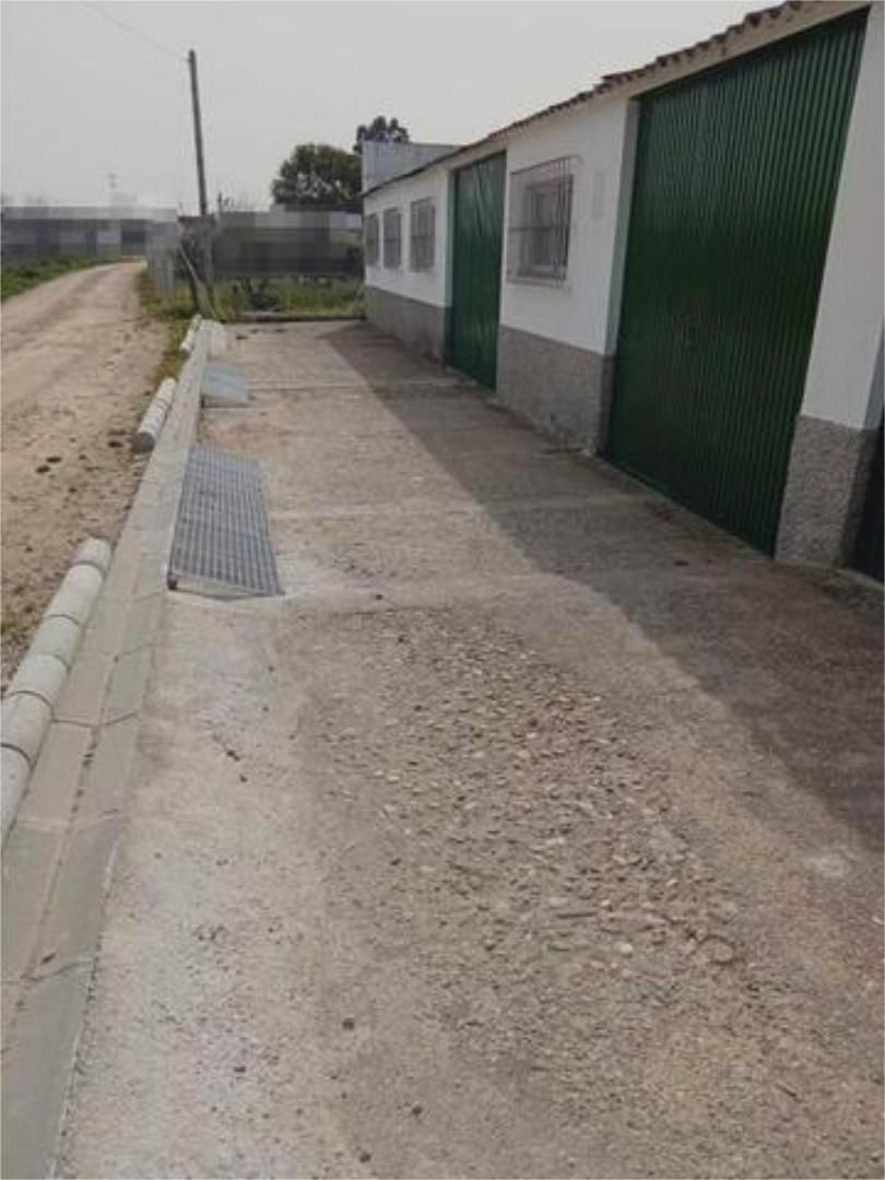 Box room to rent in El Higuerón