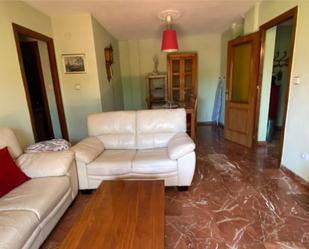 Living room of Flat to rent in  Granada Capital  with Air Conditioner, Terrace and Swimming Pool