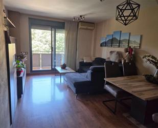 Sala d'estar de Dúplex en venda en Polinyà amb Aire condicionat, Terrassa i Balcó