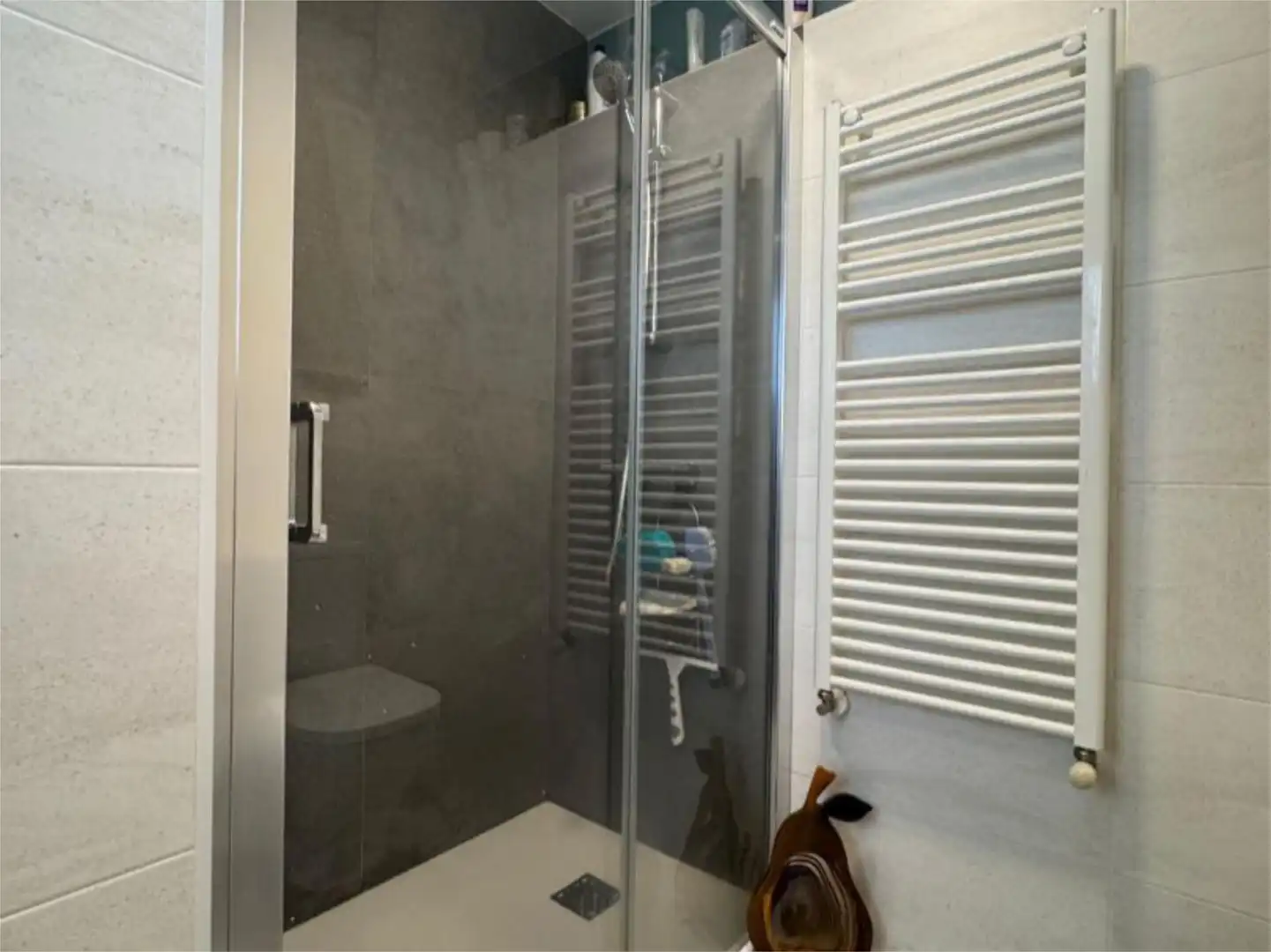 Flat for sale in Ramiro de Maeztu Kalea, 17, Lovaina Bathroom of Flat for sale in Vitoria - Gasteiz