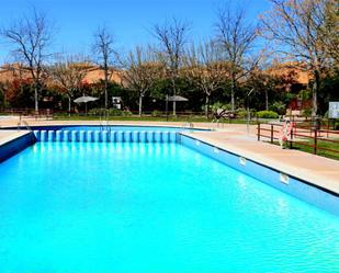 Swimming pool of House or chalet for sale in  Zaragoza Capital  with Air Conditioner, Heating and Private garden