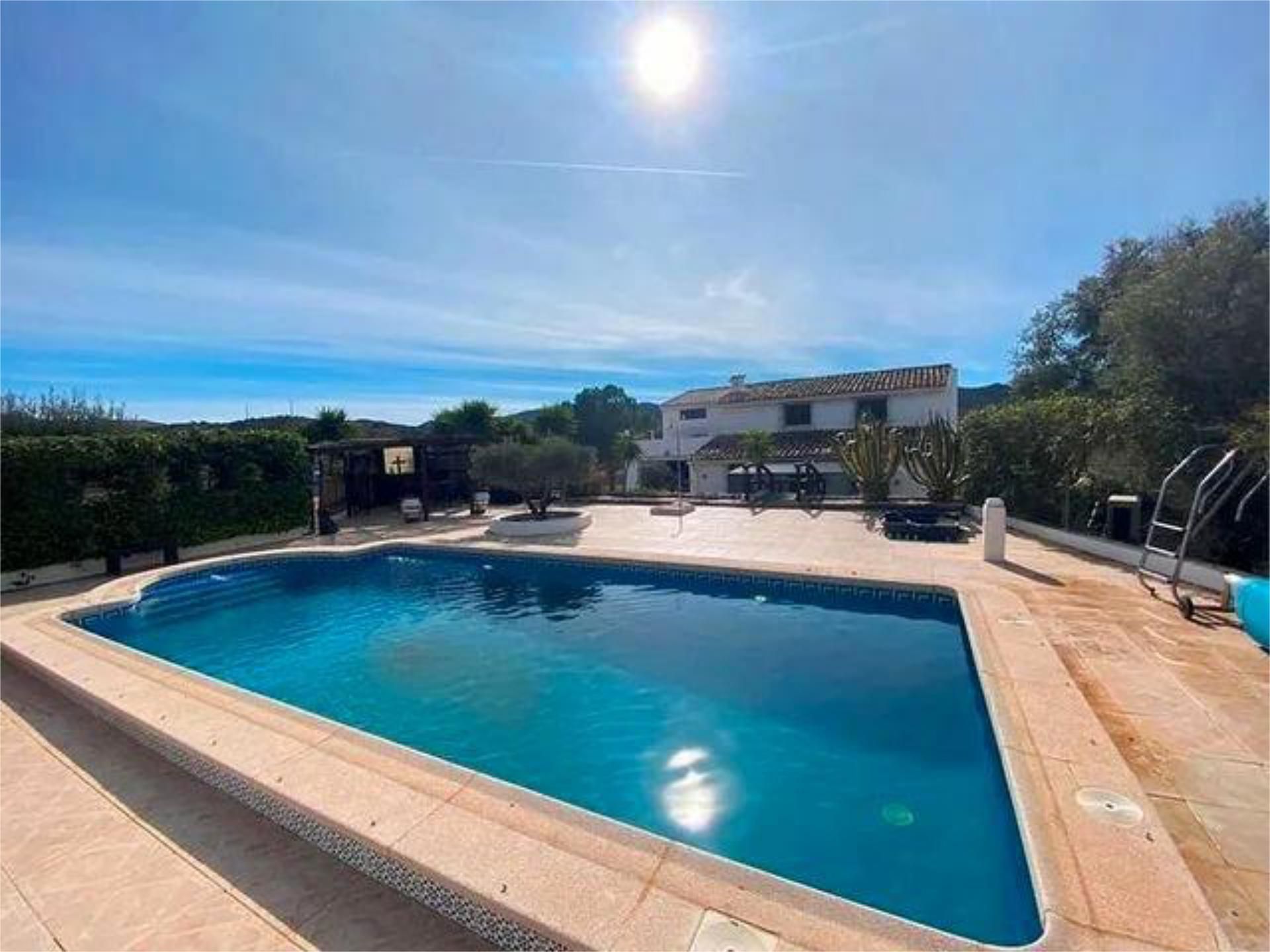 Swimming pool of Single-family semi-detached for sale in Molina de Segura  with Private garden and Swimming Pool