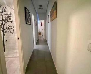 Flat to rent in Tiro de Línea