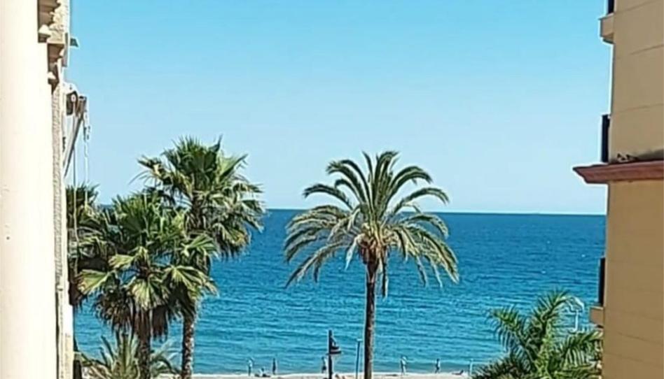 Flat to rent in Avenida Juan Carlos I, 2, Puerto de Estepona, Málaga - image 1 Photo 1 of Flat to rent in Avenida Juan Carlos I, 2, Puerto de Estepona, Málaga