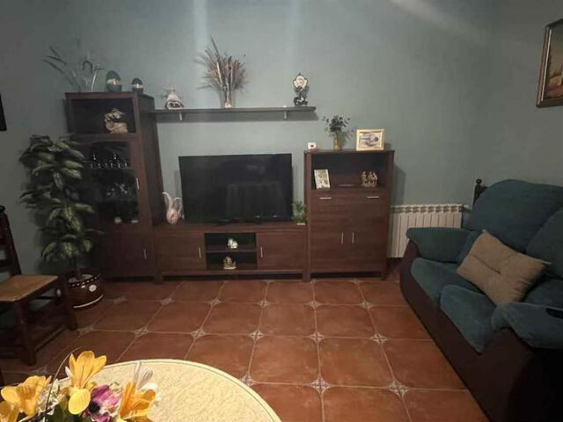 Sala d'estar de Casa o xalet de lloguer en San Clemente