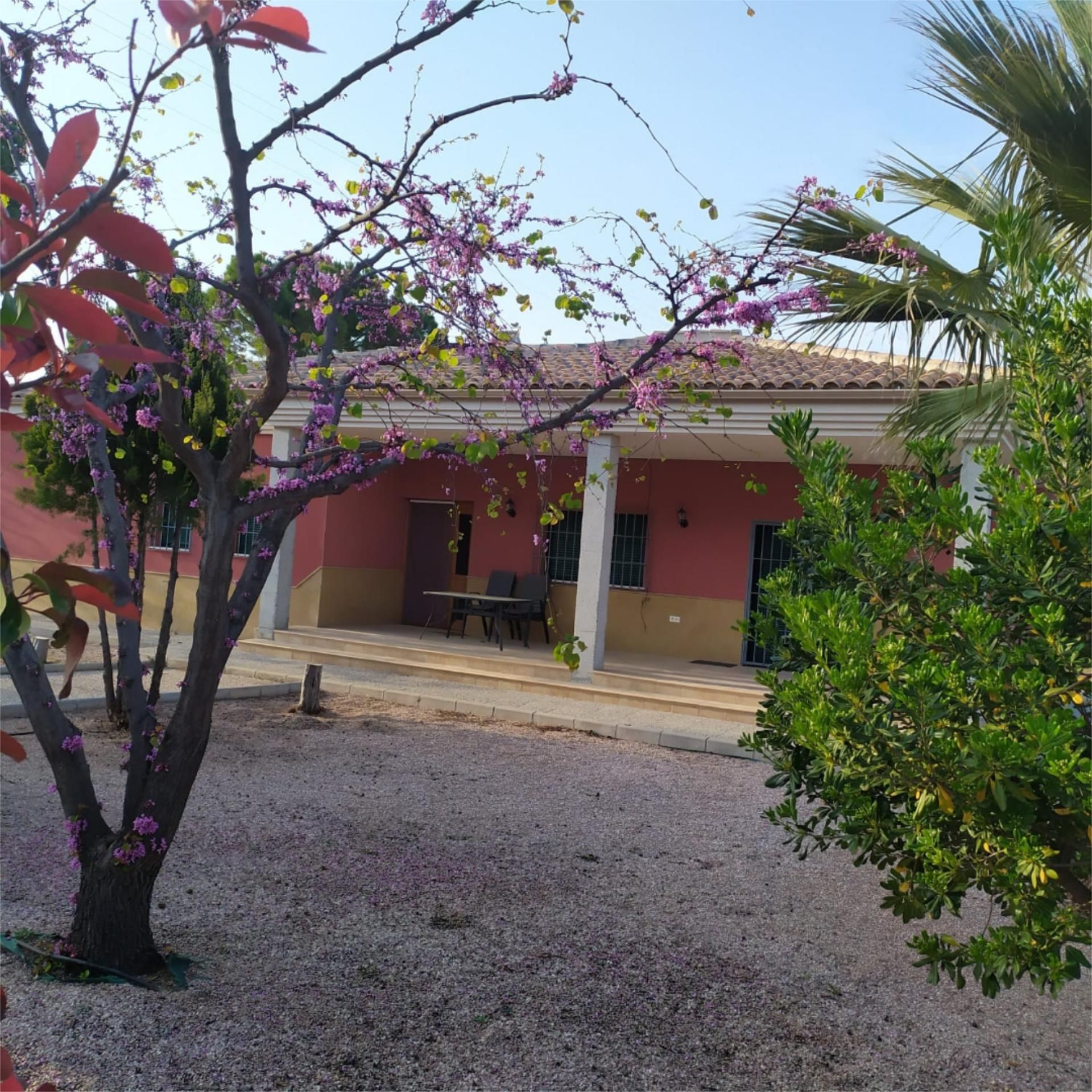Exterior view of House or chalet to rent in Cehegín  with Heating, Terrace and Swimming Pool
